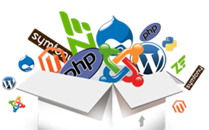 طراحی سایت پزشک و دکتر، سئو سایت پزشکان